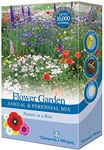 Mixed Perennial Garden Flower Seed Grow Your own Colourful Plants Such as Wallflowers, Poppies & Dianthus Bee Friendly 1 x 15g Pack by Thompson & Morgan