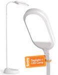Kenley Daylight Lamp - Reading Light Floor Standing - Customizable Brightness Levels - Natural Sunlight with Adjustable Brightness - Standard Lamps for Living Room Bedroom Craft Study (Light Grey 15W)