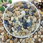 YISZM 2lbs Natural River Rocks for 