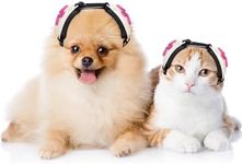 Calming Earmuffs for Cats and Small