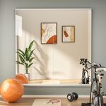 Hasipu Home Gym Mirror 48" x24(Each