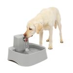 PetSafe Drinkwell 2 Gallon Dog and Cat Water Fountain, Best for Large Dog Breeds and Multiple Pet Households, Easy-to-Clean Design, Filters Included