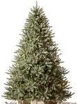 Balsam Hill 5.5ft Pre-Lit Classic B