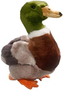 Carl Dick 