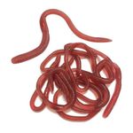 10 PCS Stretchy Earthworms Realistic Earthworms, Realistic Fake Worms Scary Props, Wiggly Worm Soft Stretchy Rubber Earthworms, Trick Toy for Prank April Fools Day Supplies Party Favor Gifts