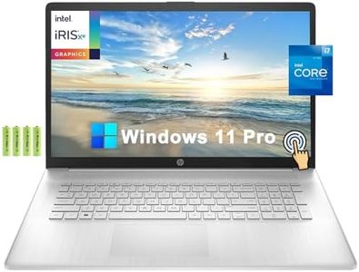 HP 17 17.3" HD+ Touchscreen Business Laptop Computer[Windows 11 Pro], 12th Gen Intel 10-Core i7-1255U, 16GB RAM, 256GB PCIe SSD, Iris Xe Graphics, Numpad, Wi-Fi, BT, HDMI, Long Battery Life, w/Battery