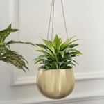 DecorTwist Hanging Planter 3.7 Inch Pack of 1 | Metal Planter Indoor Outdoor Hanging Baskets | Hanging Flower Pot with Chain for Balcony Living Room Plant Hangers for Home Garden Decor (Gold)