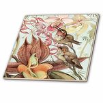 3dRose ct_126456_2 Catasetum and Cypripediums x Edward J Detmold Orchid and Hummingbirds Ceramic Tile, 6"