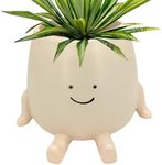 Yulokdwi Swing Face Planter, Swingi