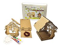 StepsToDo Build & Paint Your Own Wooden Bird House Kit. DIY Arts & Crafts Bird House Making Kit.