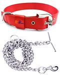 RvPaws Dog Belt Combo of 1.25 Inch Nylon Collar with Heavy Dog Chain 63 Inch Lengthy Dog Collar Chain (Red)