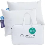 Lincove Canadian Down Feather Travel Pillow - Plush Luxury Pillows to Support Head, Neck, While Sleeping on Airplanes, Cars, Camping, Hotels & Home, 12"x16" - 2 Pack