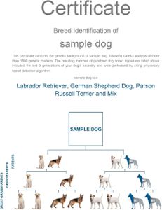AffinityDNA Dog Breed DNA Test Kit – Accurate Canine Ancestry Analysis