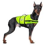 Paws Aboard Dog Life Jacket - Keep 