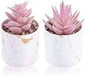 Der Rose Set of 2 Succulents Plants Artificial Mini Fake Succulents Plants for Home Office Desk Accessories for Women