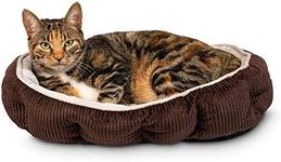 Pet Craft Supply Cat Bed for Indoor