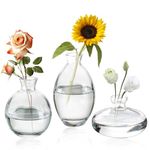 Anquephd Mini Bud Vases As Wedding Centerpieces for Tables,Clear Bud Vases for Flowers,Small Flower Vases Suitable for Birthday Party,Anniversary,Wedding Reception,Baby Shower (Clear, 3PCS)