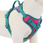 Wolfone No Pull Dog Harness Adjustable Soft Padded Pet Vest with Control Handle Adorable Daily Harness for Dogs（Pink Peacock M）