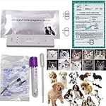 Pets Pregnancy Pregnant Test Paper Strip,The New Upgrade Fast And Accurate Results Easy To Use Easy To Use,Veterinaria Dog Cat Disposable Pet Clinic Equipment,3pcs