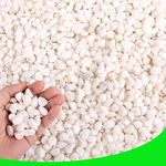 CJGQ White Pebbles for Plants Garde