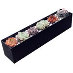 PSOIRGCNH Modern Metal Steel Trough Planter - Rectangle Planters for Indoor Planters - 16" Window Sill Planters - Table or Window Boxes Planter - Windowsill Herb Planter(1pc Short Black)