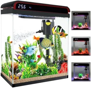 Betta Fish Tank, 10 Gallon Fish Tank Glass Small Aquarium Starter Kits Self Cleaning with 3 Types of LED Lights and Filter Water Pump, Ultra Quiet Decoration Kids Room Gift