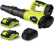 Leaf Blower, 21V Cordless Electric 