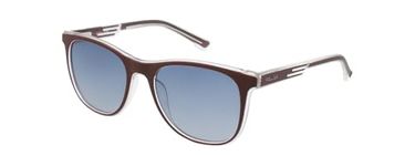 Police SPL960 Sunglasses, Cranberry, 45/19/145