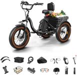Electric Tricycle for Adults, 20" F