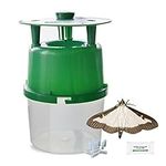 IPM Direct Box Tree Caterpillar Moth Trap - Includes 3 Pheromone Lures, Green, 10x22cm