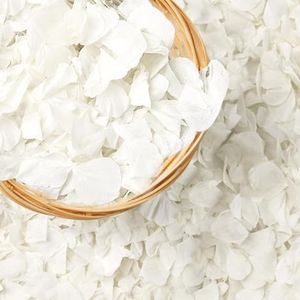 IWURBP 1500pcs Real Dried Ivory White Hydrangea Flower Petals - Natural smal Petals for Wedding, Flower Girl Baskets, Party Confetti, Valentine's Day, Romantic Night, Handcrafts (1.06 oz/30g)