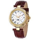 BERNY Automatic Watch for Men Mechanical Self Winding Wristwatch 3ATM Waterproof Multi-Functional Dial Super Luminous Fashion Watches,Gold