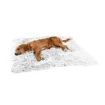 Shag Rug For Dog