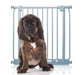 Bettacare Elite Pressure Dog Gate, 71cm - 80cm, Matt Grey, Pressure Fit Pet Gate for Dog and Puppy, Pet and Dog Barrier, Easy Installation