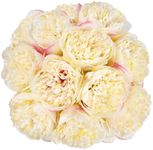 U'Artlines 20 Heads Artificial Peony Silk Flower Leaf Home Office Wedding Party Festival Bar Decor (Champagne)
