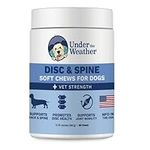 Under the Weather Pet Disc & Spine 