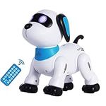 Remote Control Robot Dog Toy, Progr