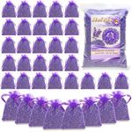 36 Pack Lavender Sachet Bags - 100% Natural Dried Lavender Buds for Closets Drawers Car & Home | French Potpourri Fragrance Sachets Rich Aroma Air Long Lasting Fresh Scents