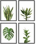 HAUS AND HUES Plant Wall Art - Set of 4 Plant Pictures Wall Art and Green Wall Art Collection, Botanical Prints, Sage Green Leaves Paintings For Wall, Minimalist Wall Art (Black Frame, 11x14)