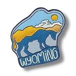 WY Bison Roam - Wyoming - Travel Pa