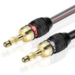 TNP 12 AWG Speaker Wire - Banana Plug Cable, 25FT Male-to-Male - High-Performance Speaker Cable Banana Plugs with 24k Gold Plated Connector Tips for Home Theater System