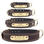 Personalized Dog Collar - Engraved 