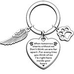 AMZQ Pet Memorial Gifts Loss of Pet Memorial Keyring Sympathy Gifts Memory of Family Dog Cat Pet Keyring Remembrance Gift for Pet Dog Cat Lover Memorial Keyring Angel with Paws