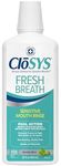 CloSYS Pre-Flavored Mouthwash, Alcohol Free, Mild Mint, 32 Ounce by CloSYS