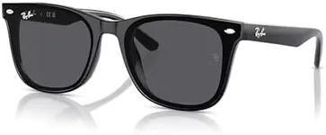 Ray-Ban RB4420 601/87 65MM Black/Da