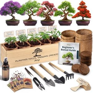Bonsai Tre