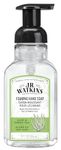 J.R. Watkins Aloe and Green Tea Foaming Hand Soap For Bathroom or Kitchen, Scented, USA Made And Cruelty Free, 266 Milliliters