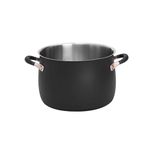 Meyer Accent Series Stainless Steel Dutch Oven| Biryani Pot| Cooking and Serving Casserole Pan with Ergonomic Grip Silicone Handles | Gas and Induction Compatible, 8 Liters