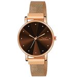 LOUIS DEVIN Rose Gold Plated Mesh Chain Analog Wrist Watch for Women (Brown Dial) | LD-RG173-BRW