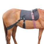 Equine Core Conditioning Band System - Saddle Pad and Elastic Resistance Bands Horse Training Aid